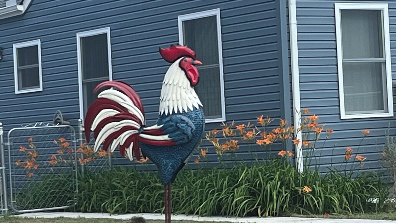 Photo of Outdoor in Warren