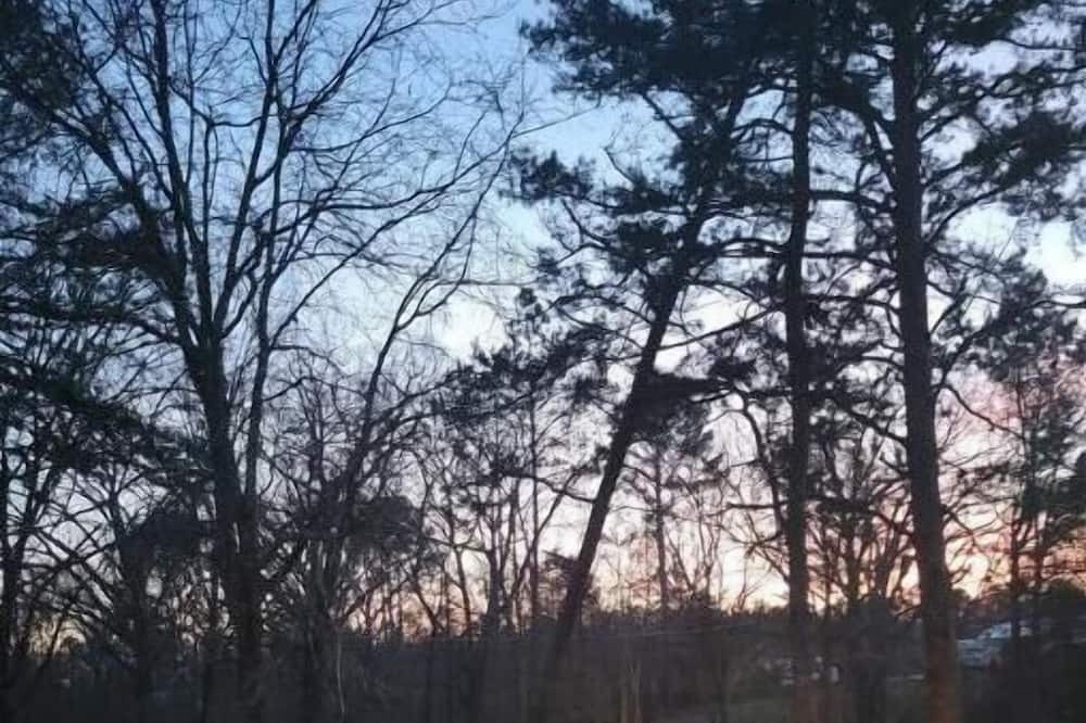 Photo of Outdoor in Chewalla