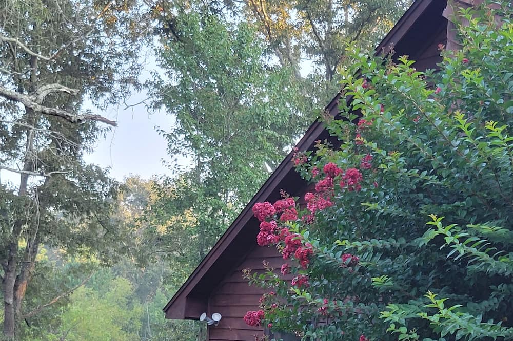 Photo of Outdoor in Chewalla