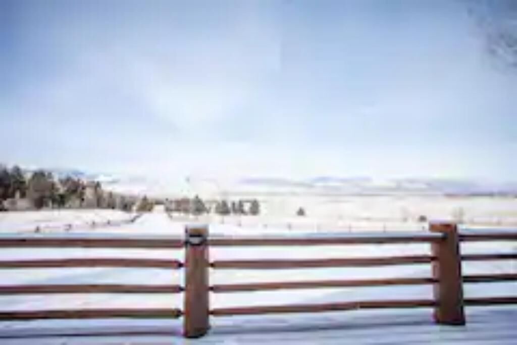 Photo of Outdoor in Livingston