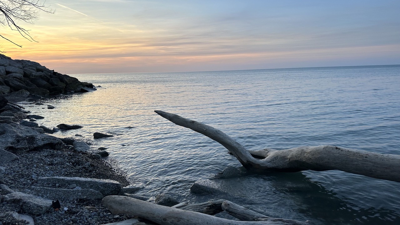 Photo of Others in Mentor Headlands