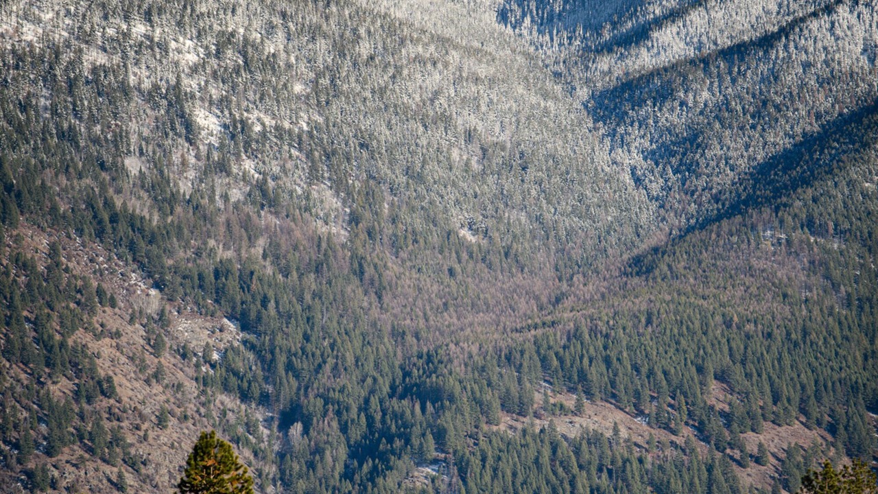 Photo of Outdoor in Columbia Falls