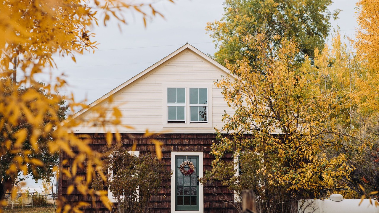 Photo of Outdoor in Alder