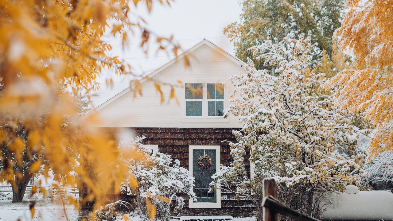 Photo of Outdoor in Alder