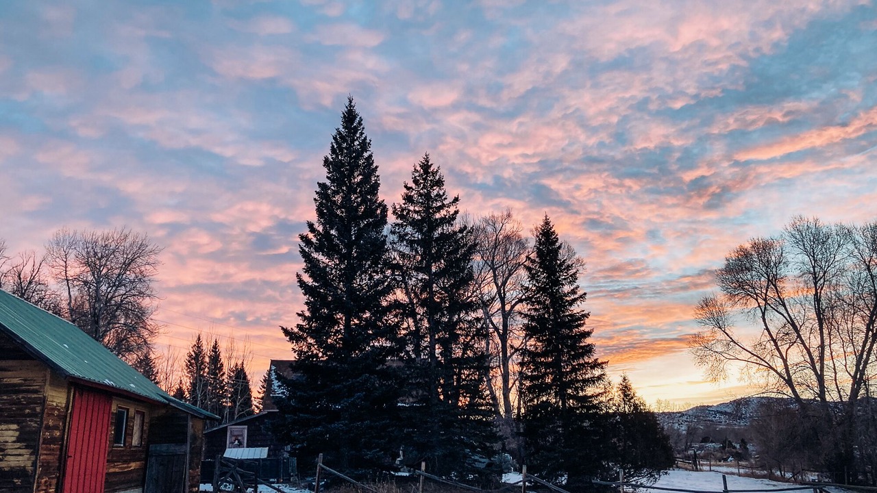 Photo of Outdoor in Alder