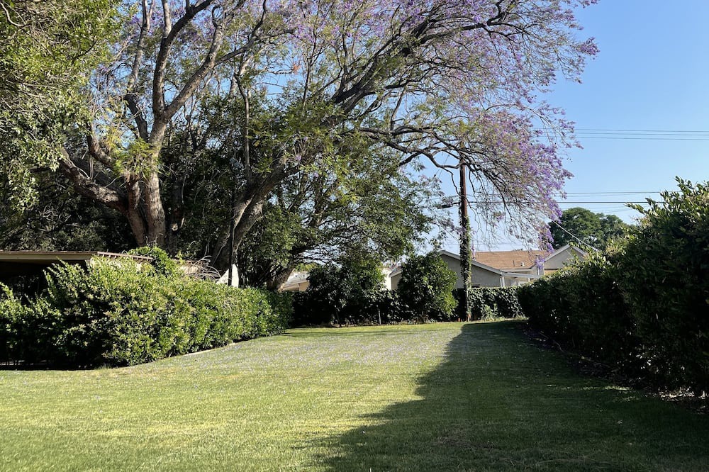 Photo of Others in East Pasadena