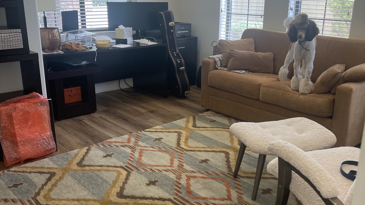 Photo of Livingroom in Las Sendas