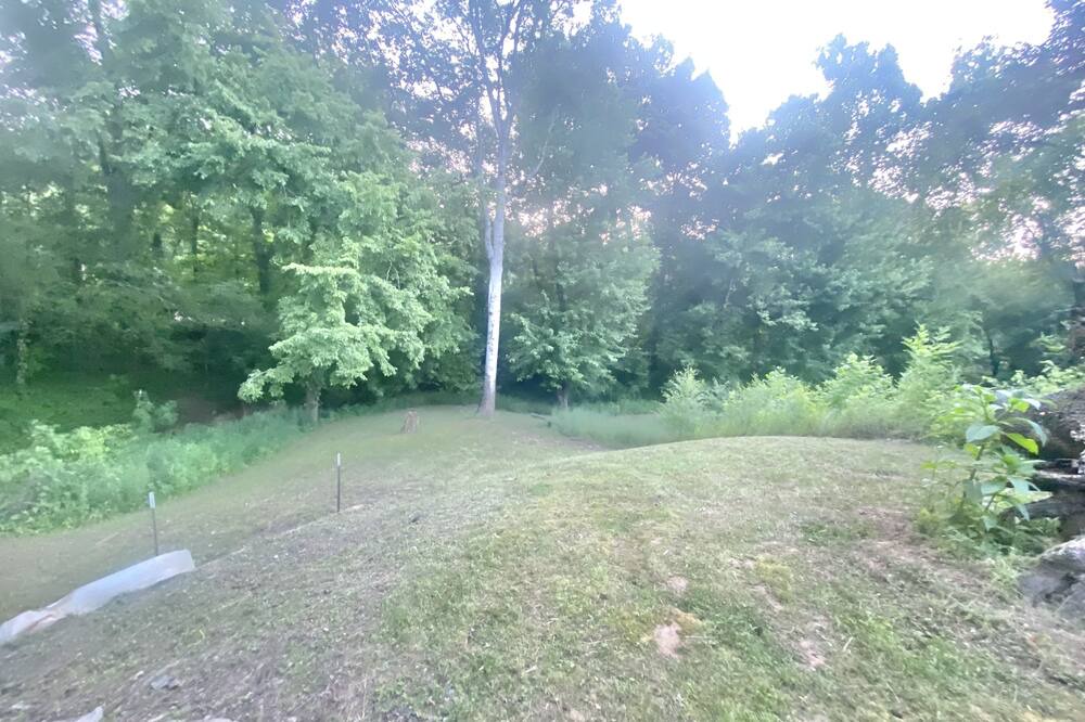 Photo of Outdoor in Savannah