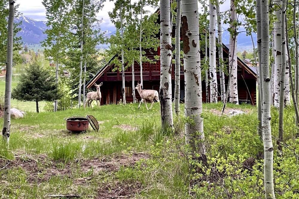 Photo of Outdoor in Star Valley Ranch