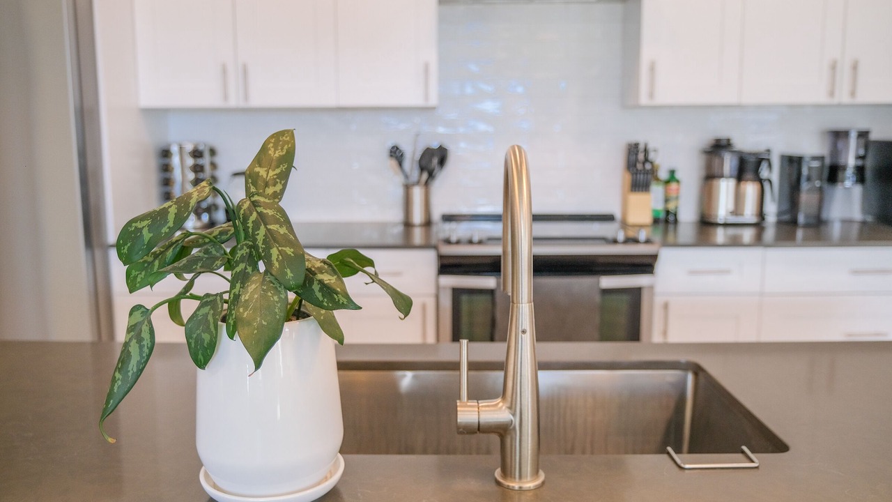 Photo of Kitchen in Livingston