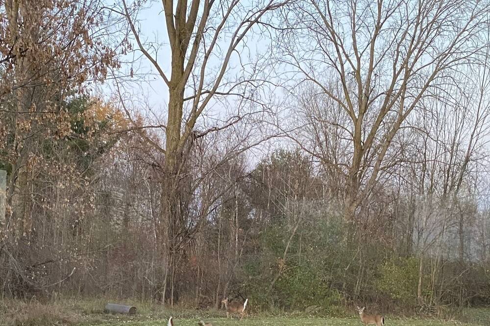 Photo of Others in Deford