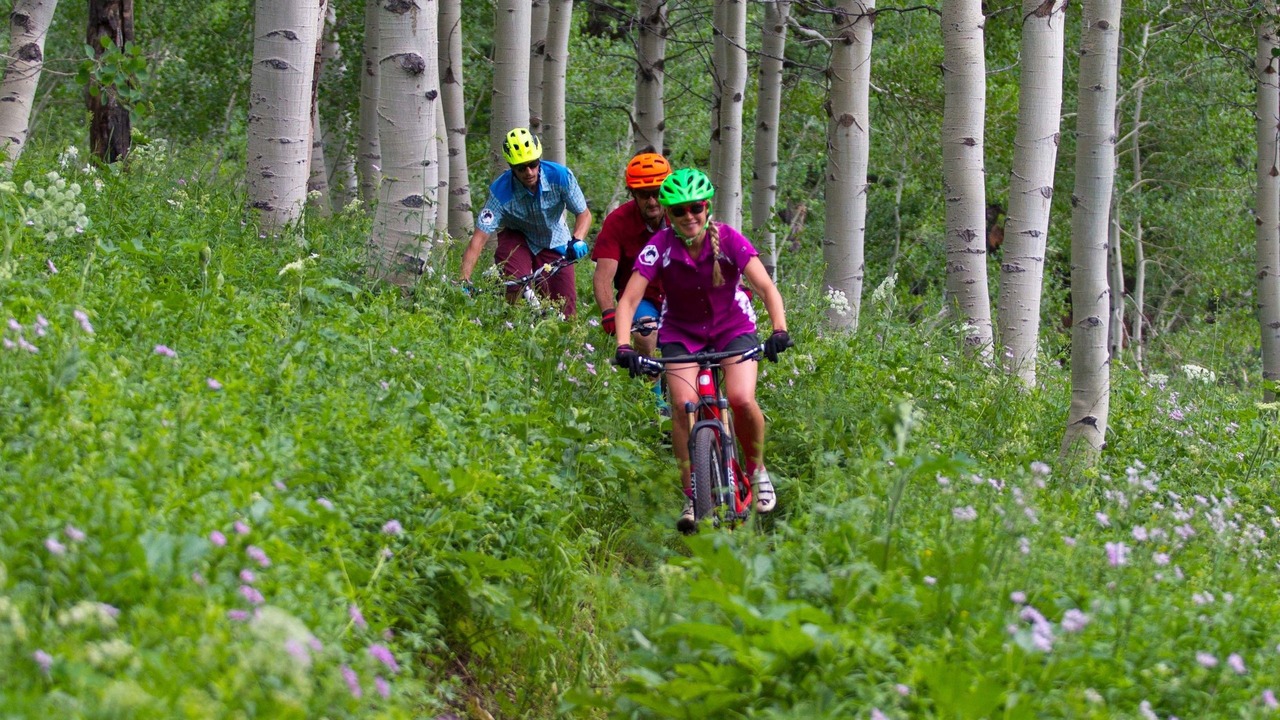 Photo of Outdoor in Alta