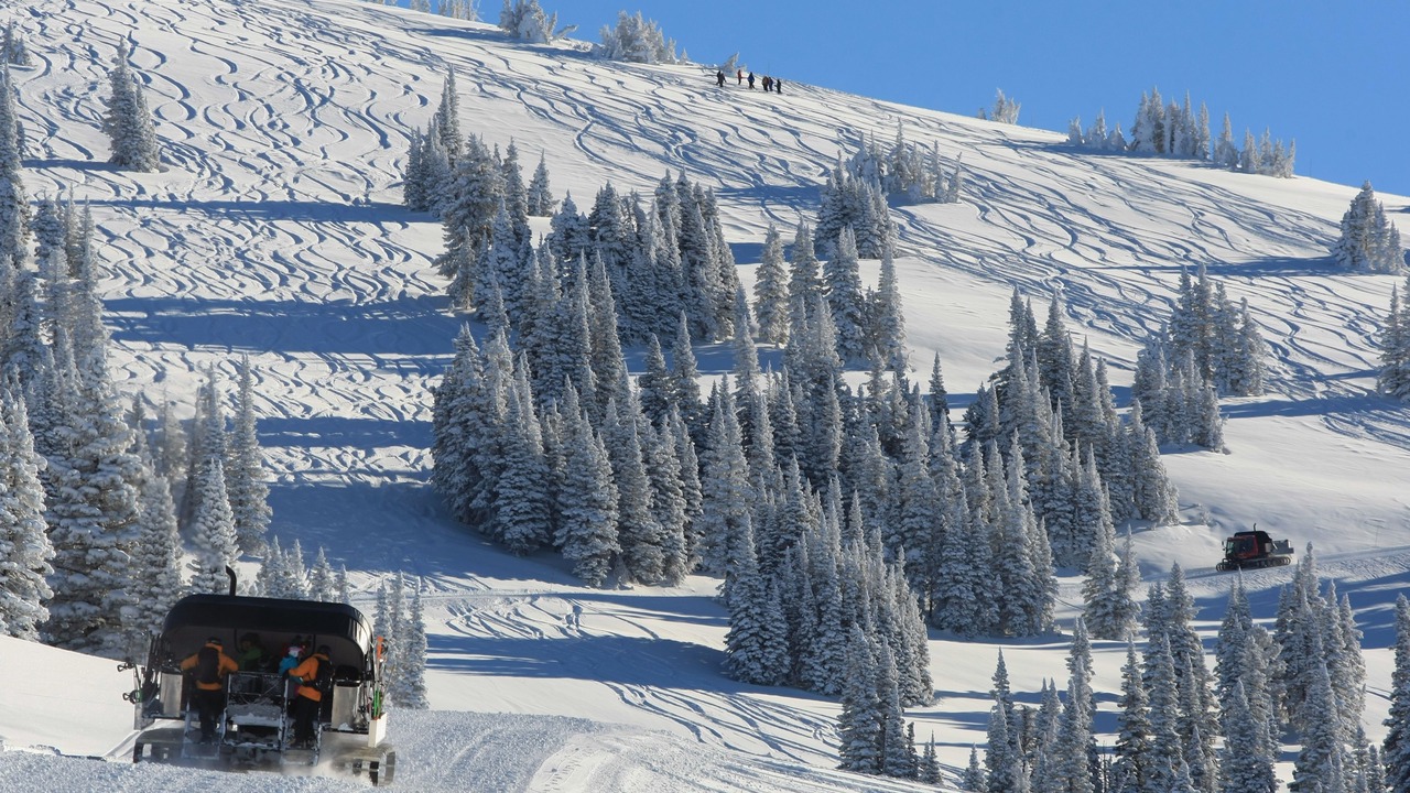 Photo of Others in Alta