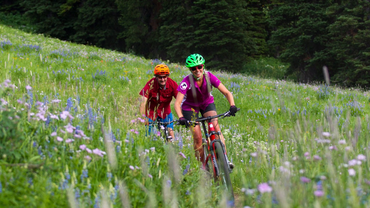 Photo of Outdoor in Alta