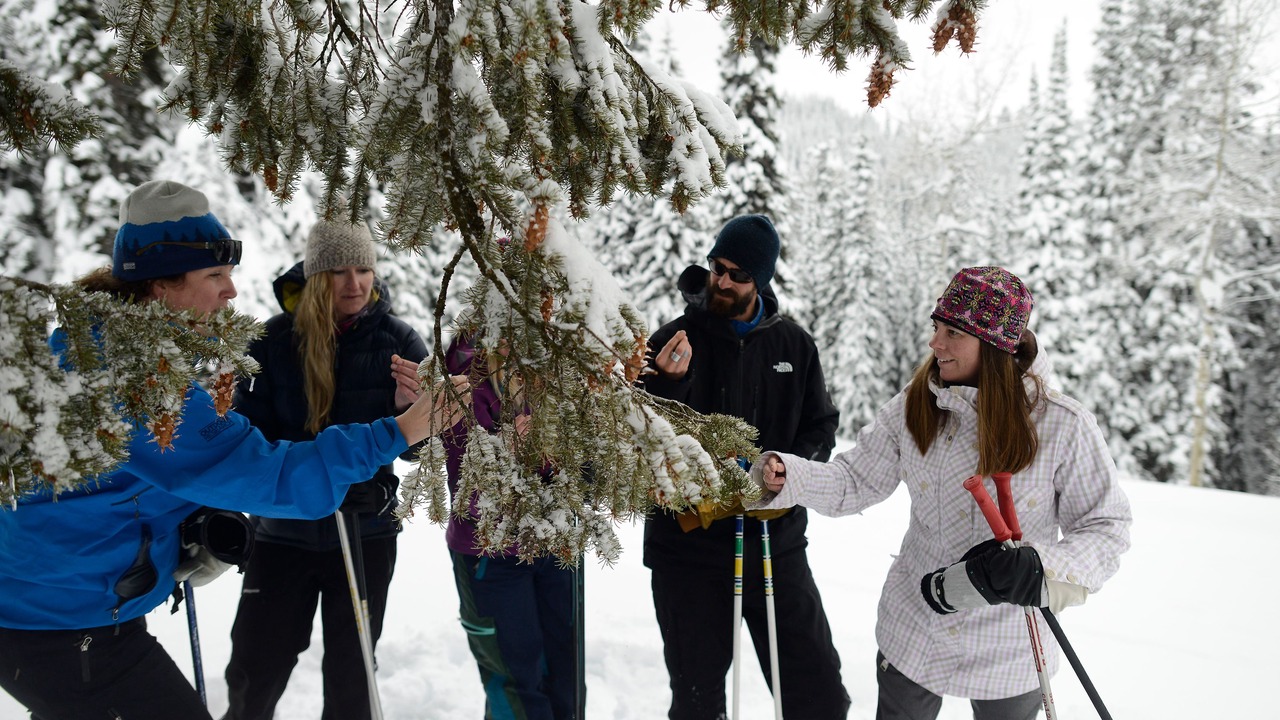Photo of Others in Alta
