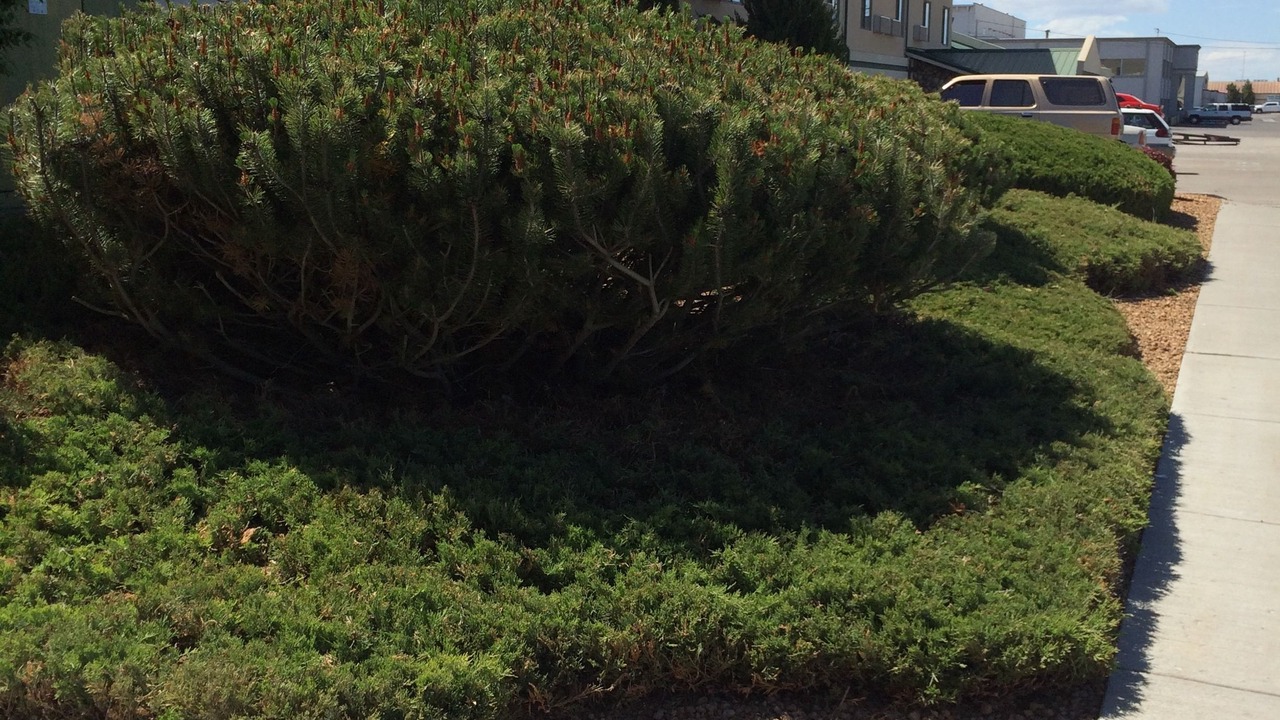 Photo of Outdoor in Idaho Falls