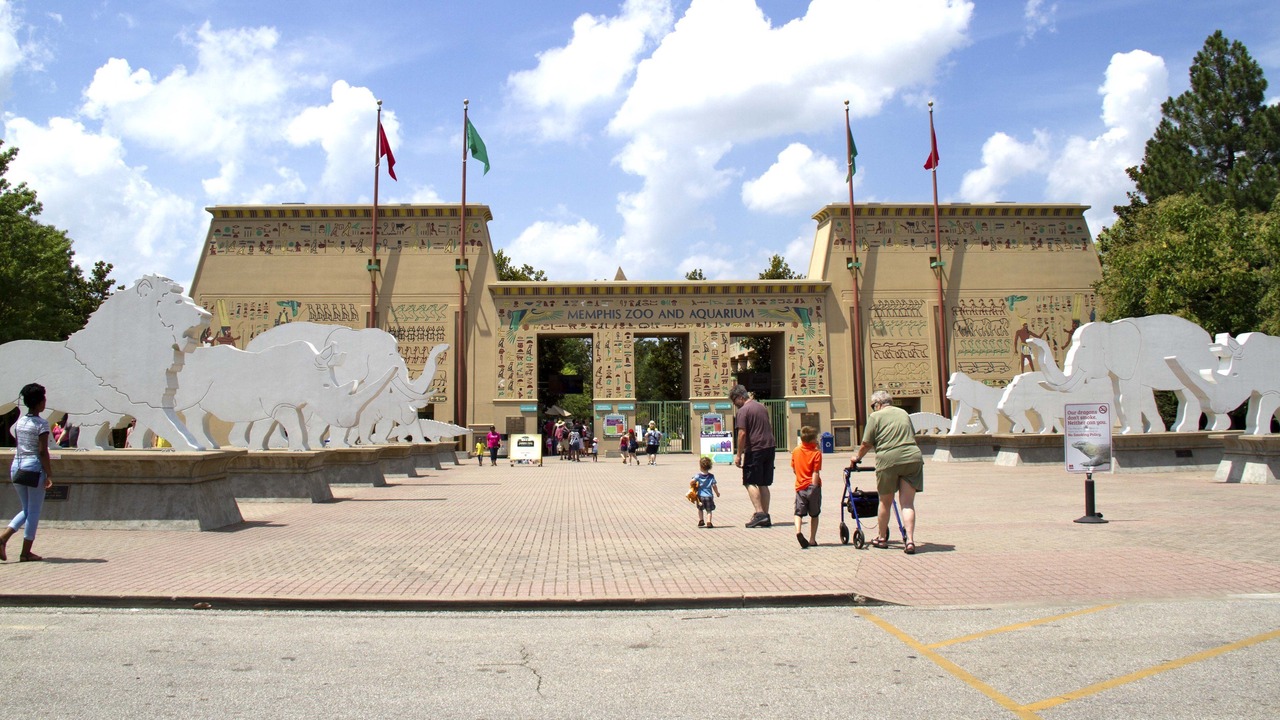 Photo of Others in White Station