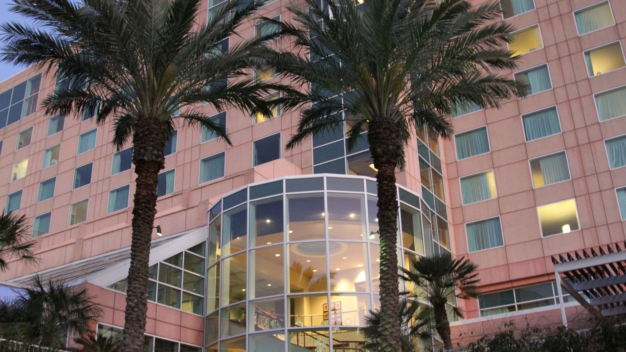 Photo of Outdoor in Galveston