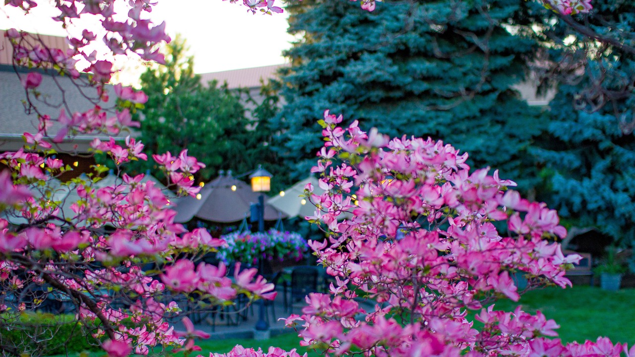Photo of Outdoor in Spokane Valley
