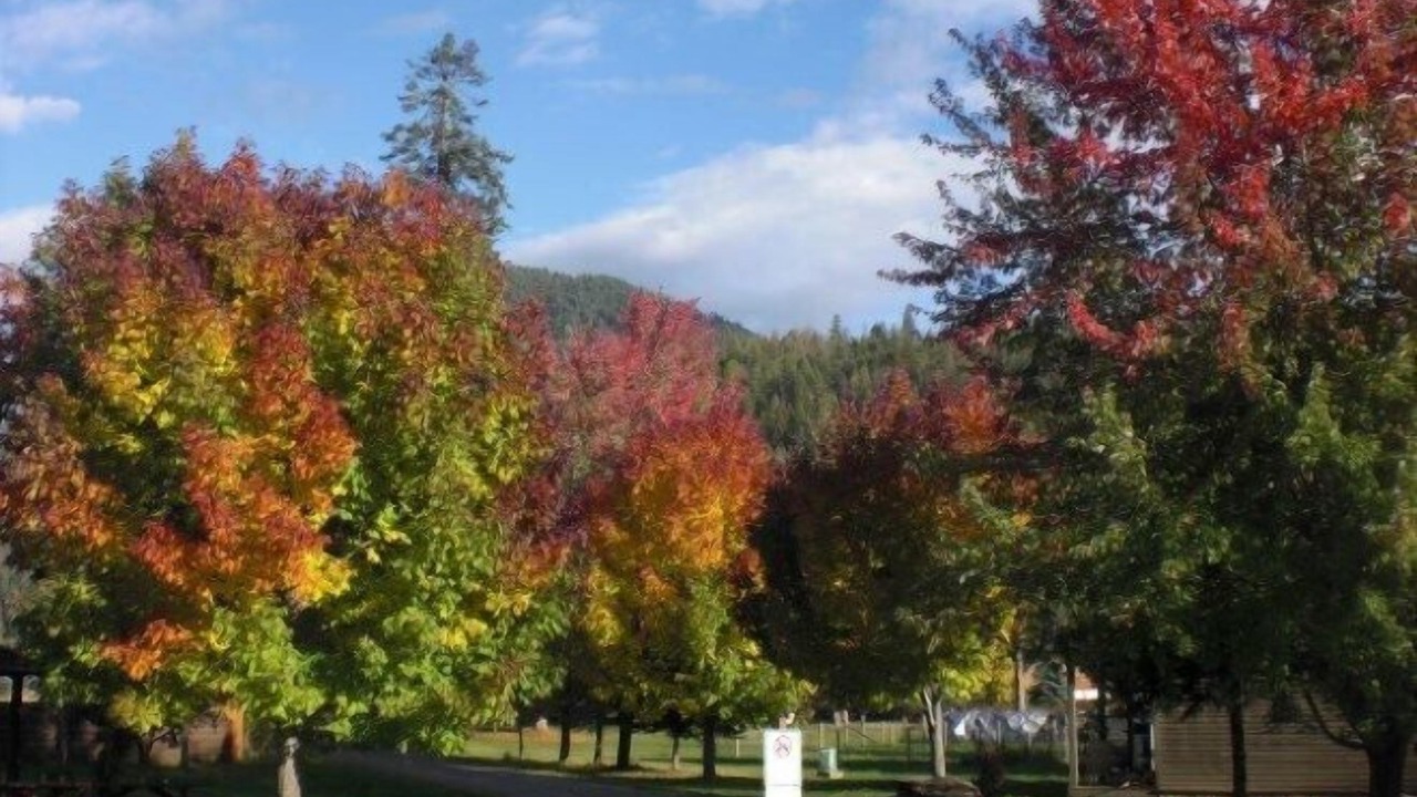 Photo of Outdoor in Clark Fork