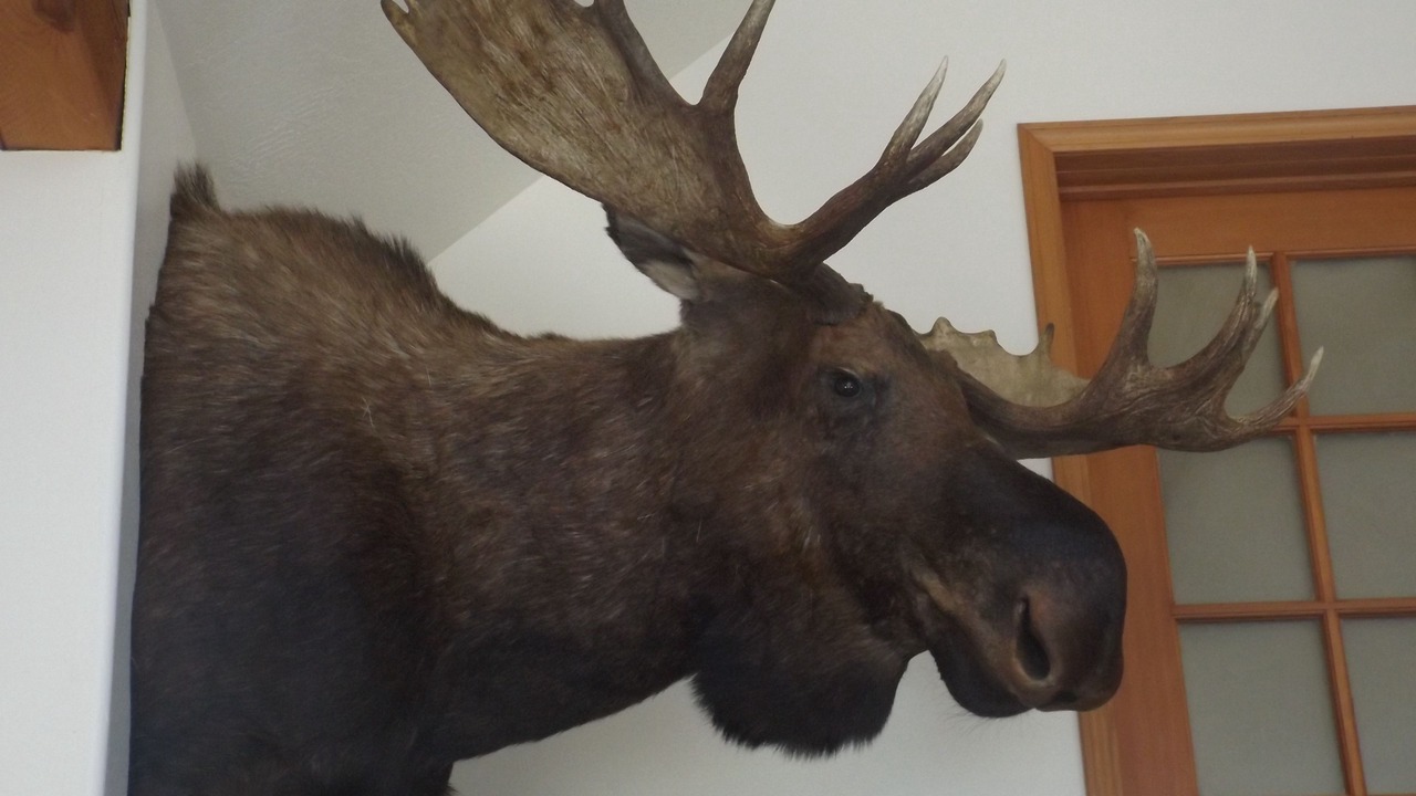 Photo of Others in Clark Fork