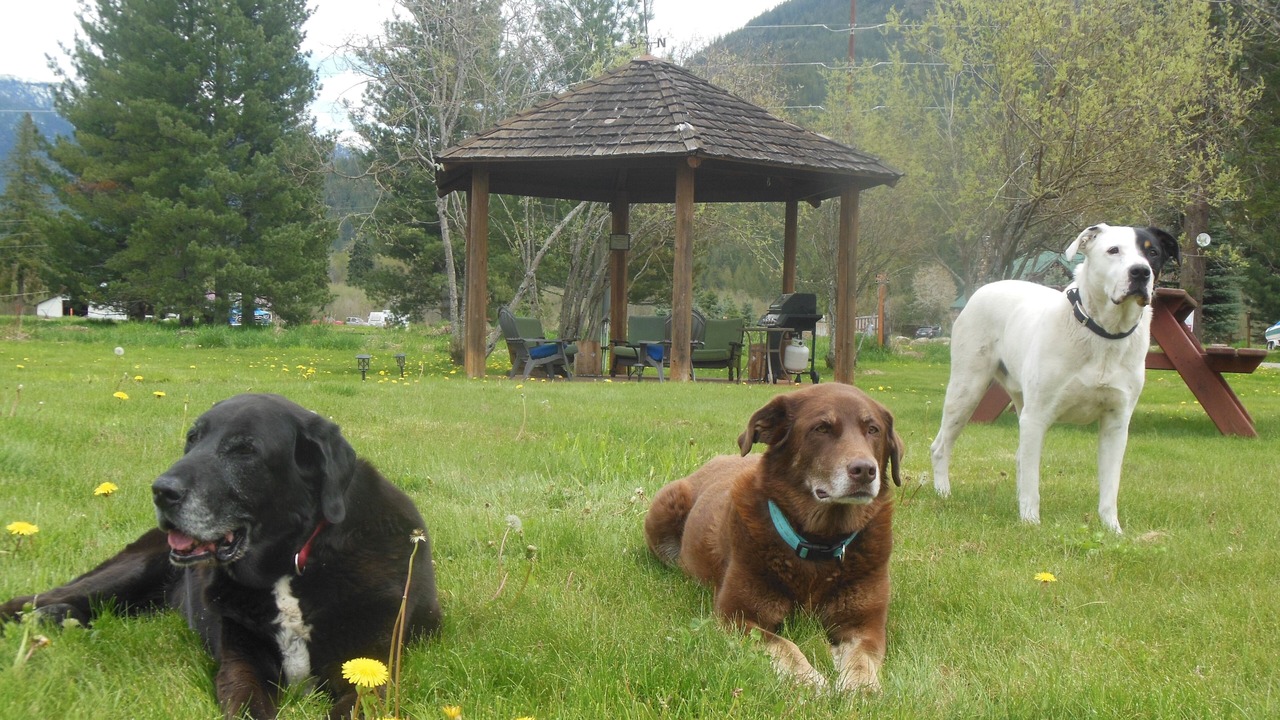 Photo of Outdoor in Clark Fork