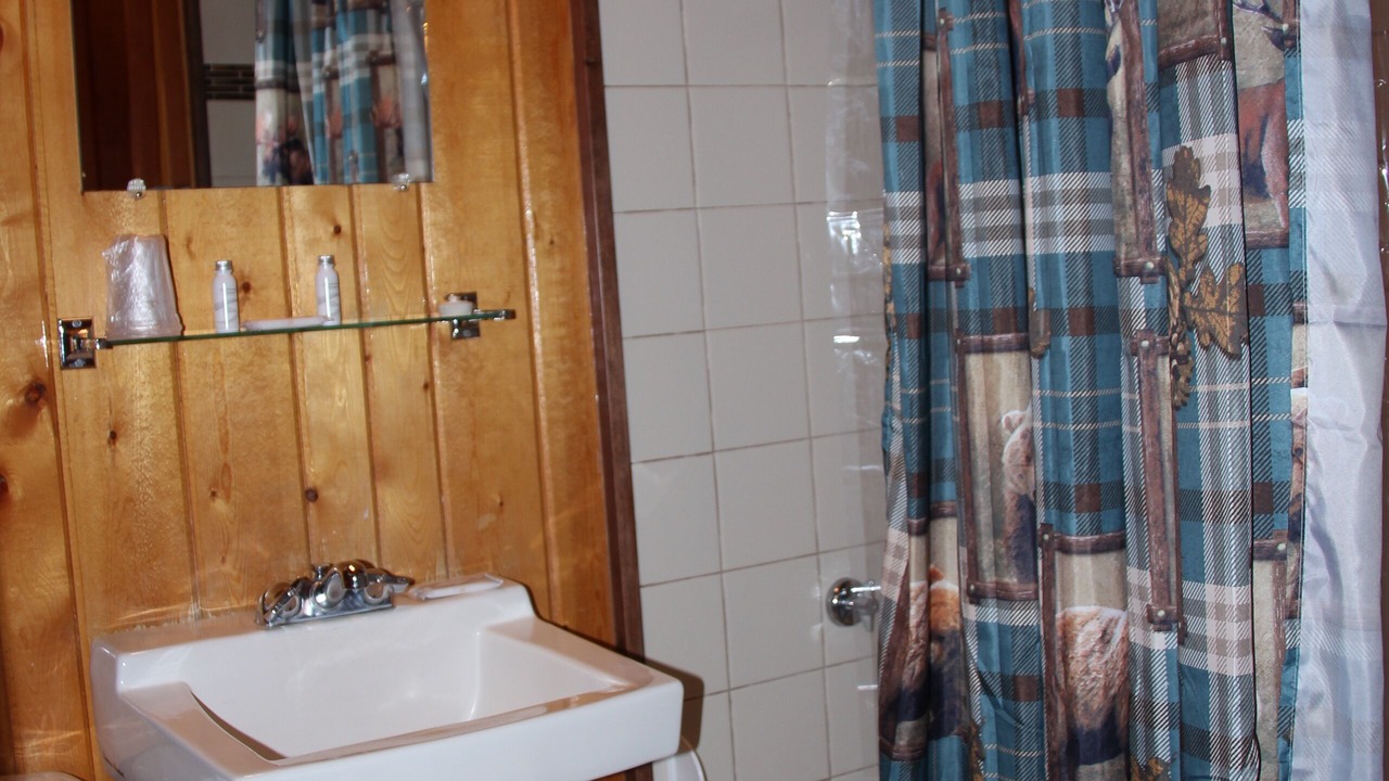 Photo of Bathroom in Wapiti
