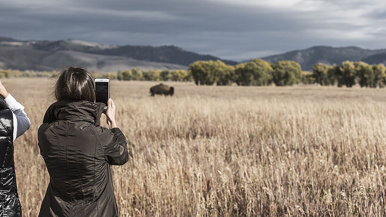 Photo of Others in Jackson Hole