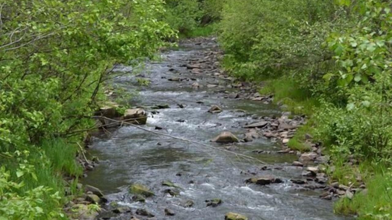 Photo of Outdoor in Bellevue