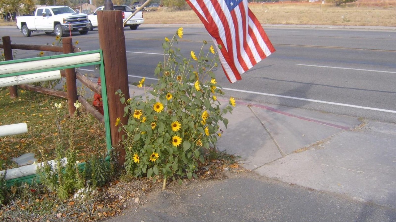 Photo of Outdoor in Bellevue