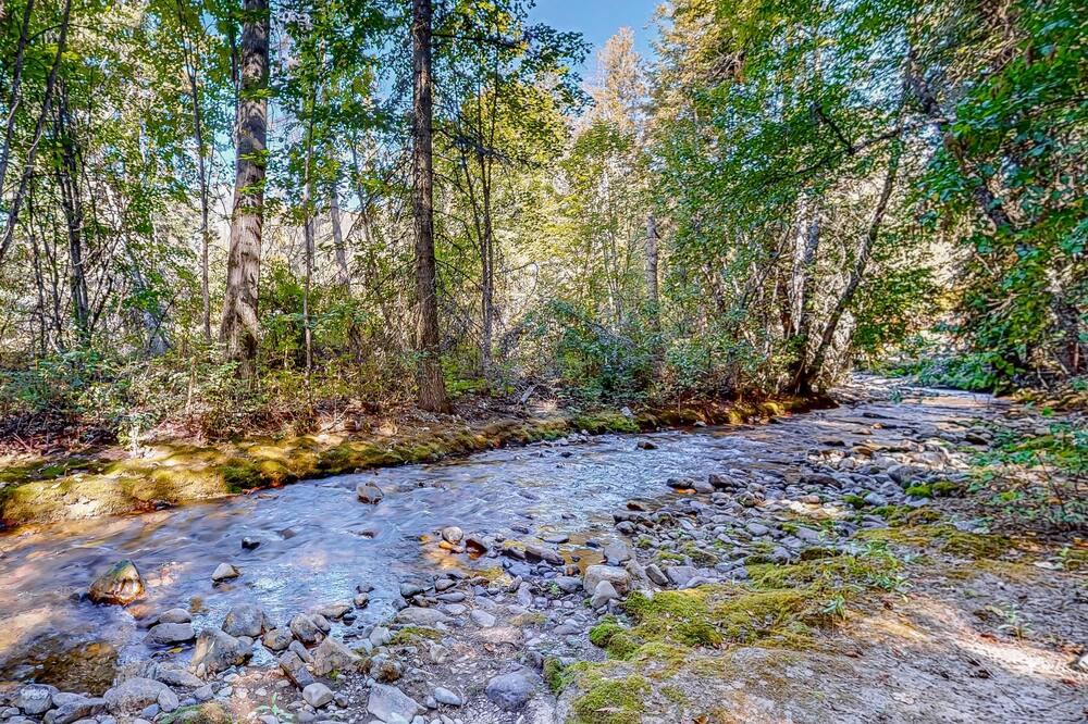 Photo of Others in Trestle Creek