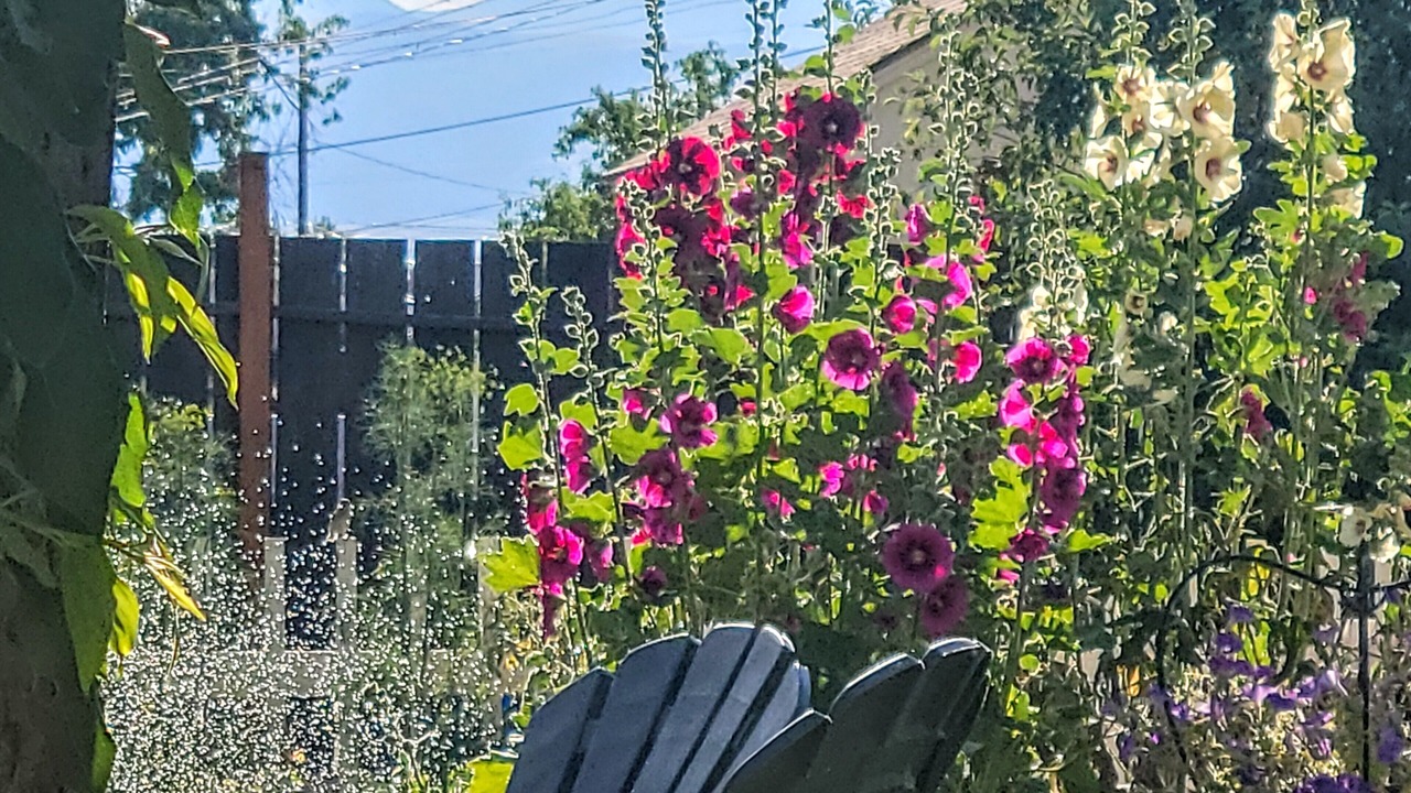 Photo of Outdoor in Deer Lodge