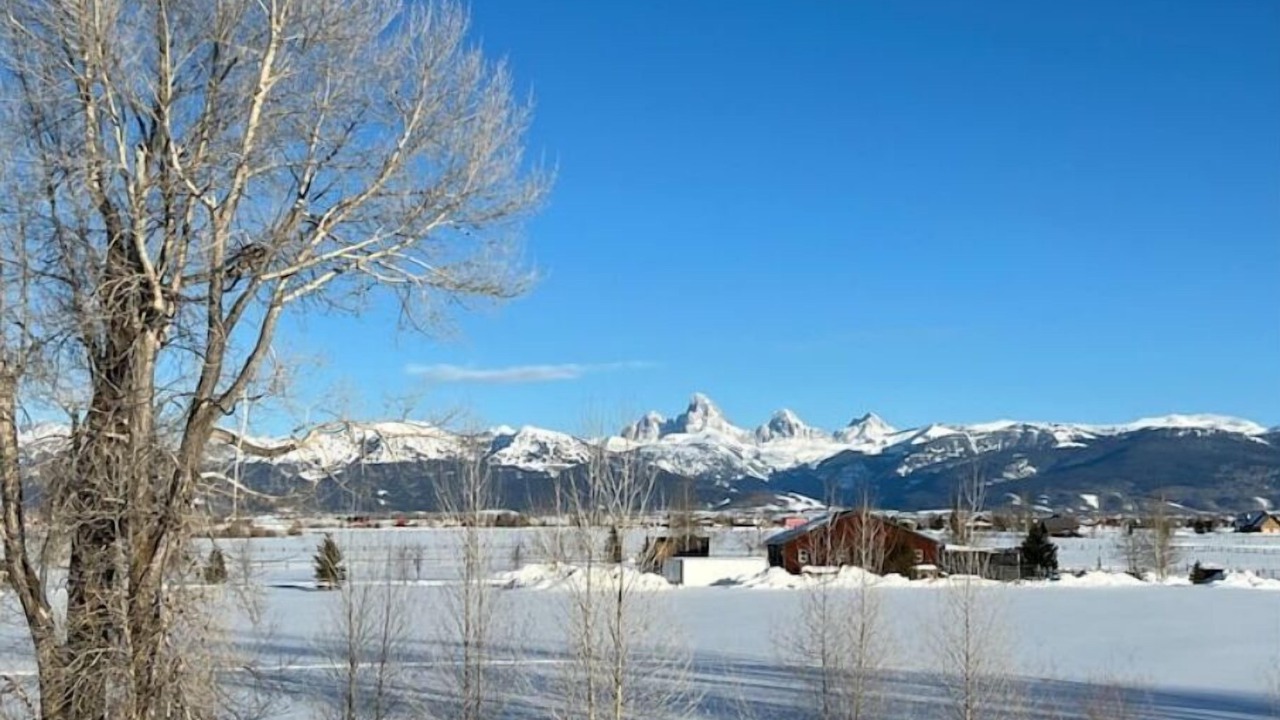 Photo of Outdoor in Tetonia