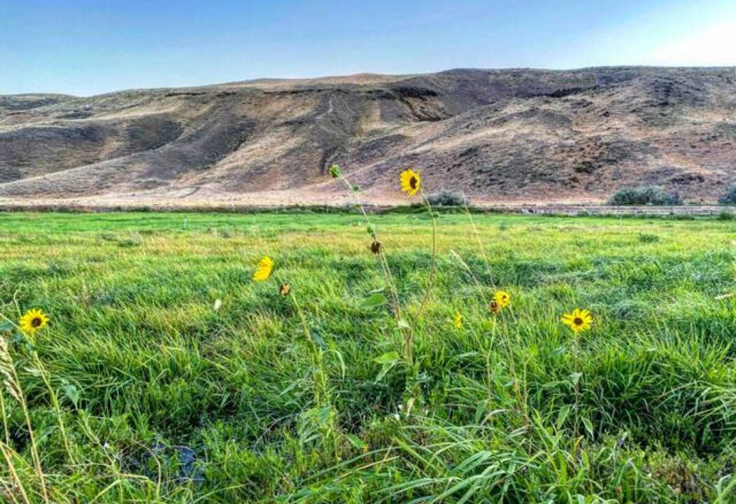 Photo of Others in Twin Falls County