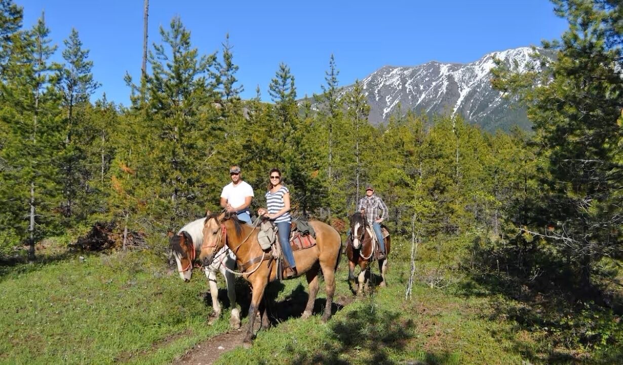 Photo of Others in West Glacier