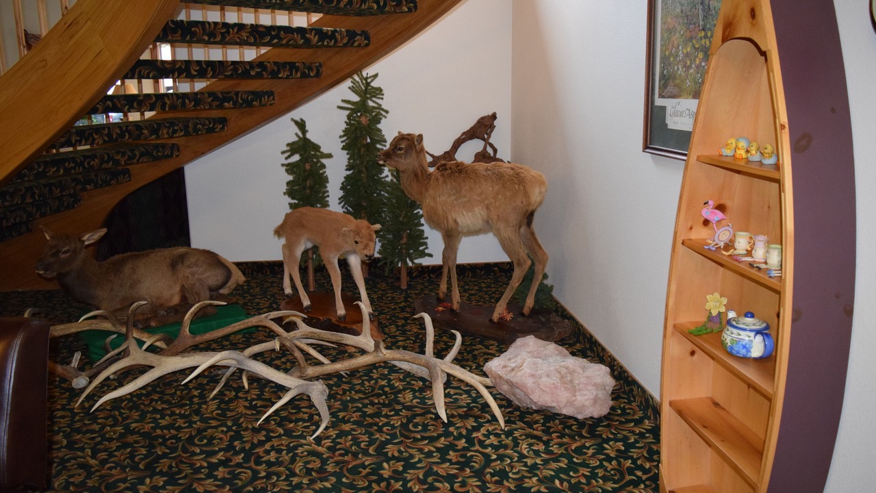 Photo of Others in Kalispell