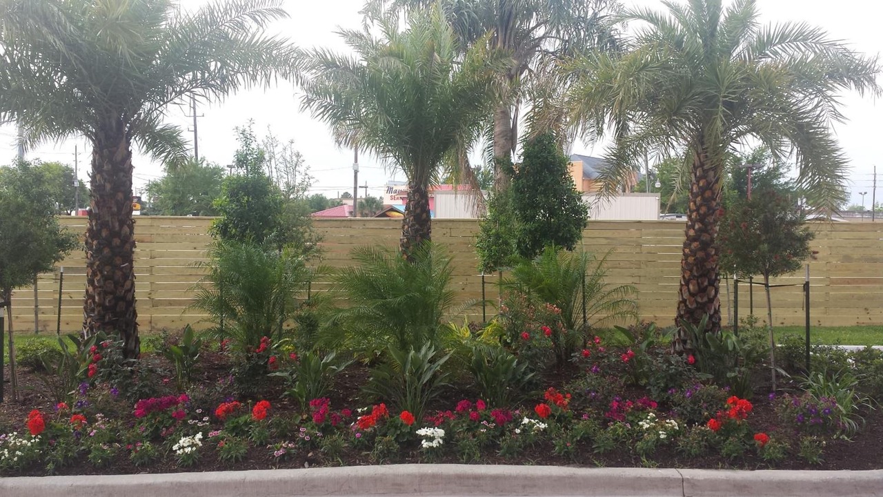 Photo of Outdoor in Jersey Village