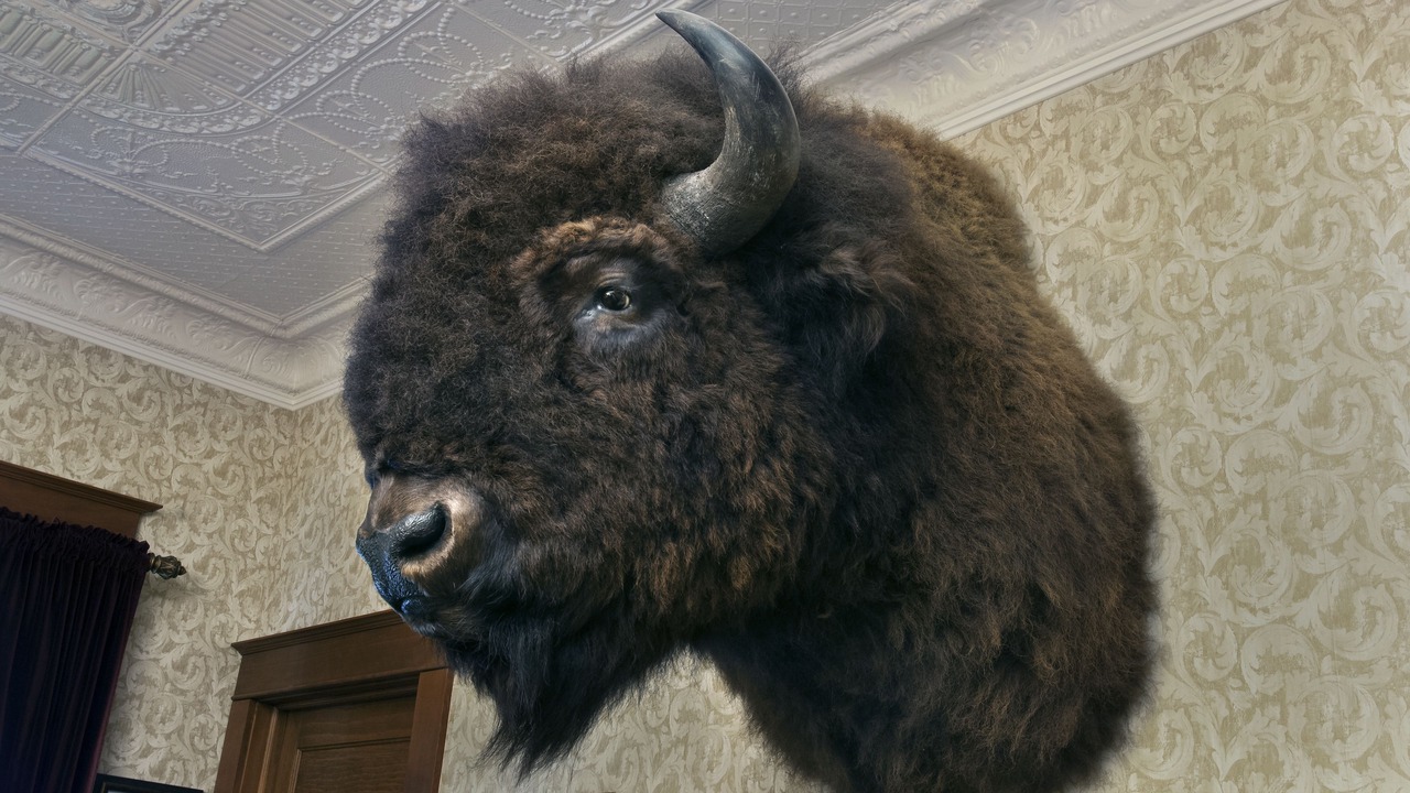Photo of Others in Elk Mountain