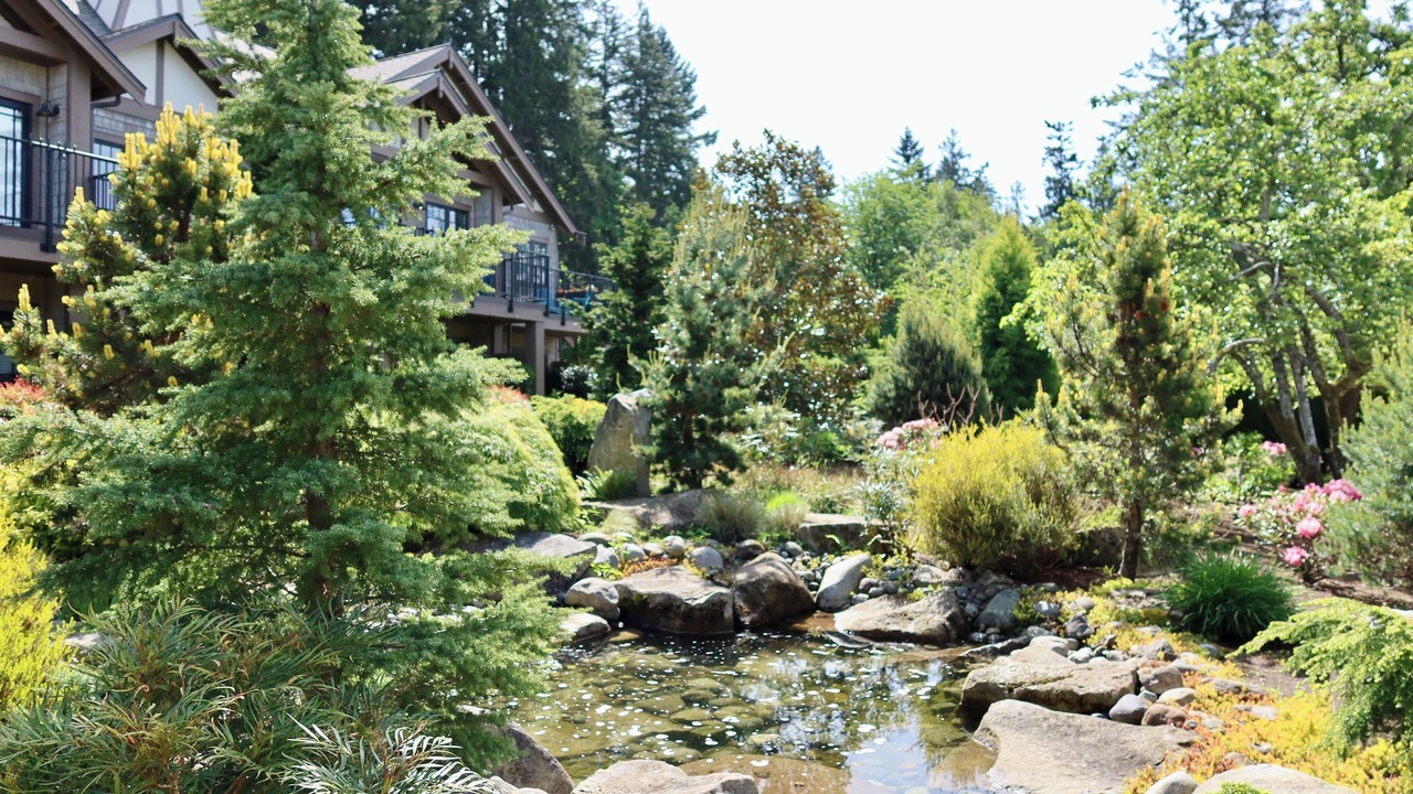 Photo of Outdoor in Bainbridge Island