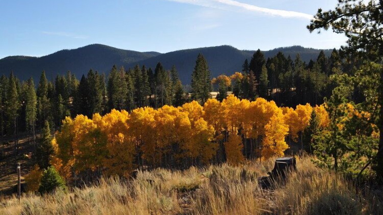 Photo of Outdoor in Butte