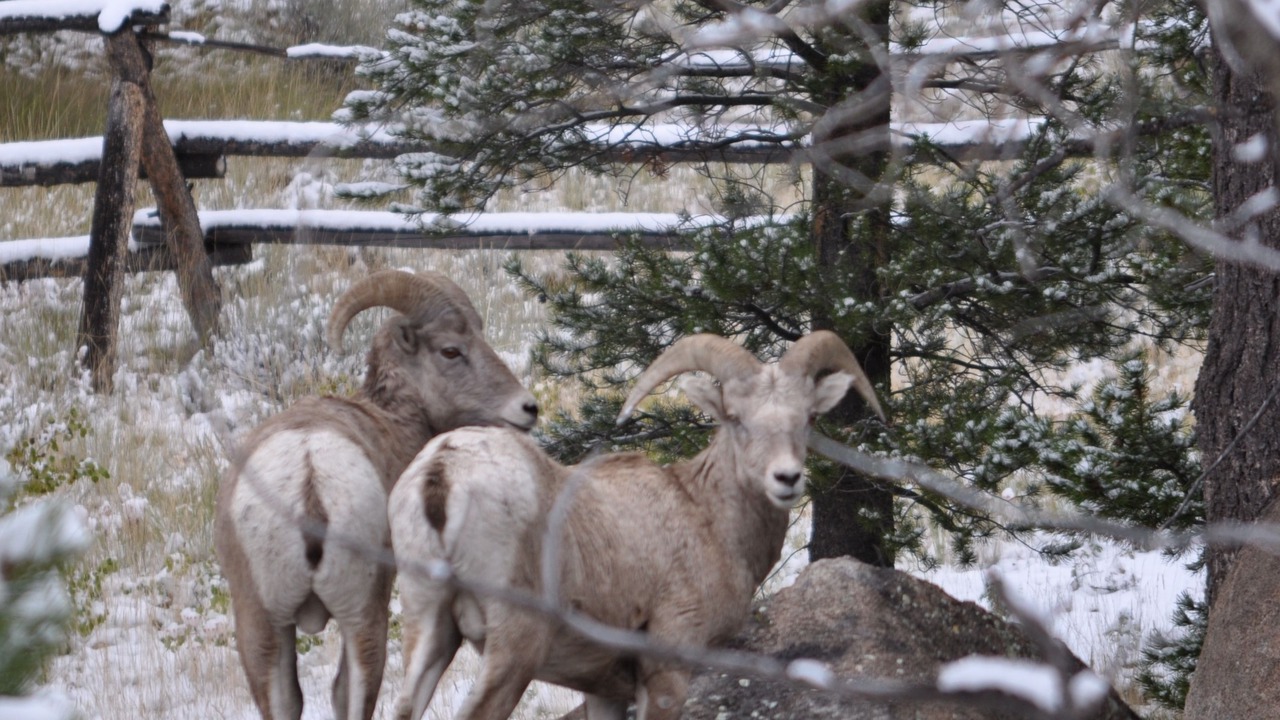 Photo of Outdoor in Butte