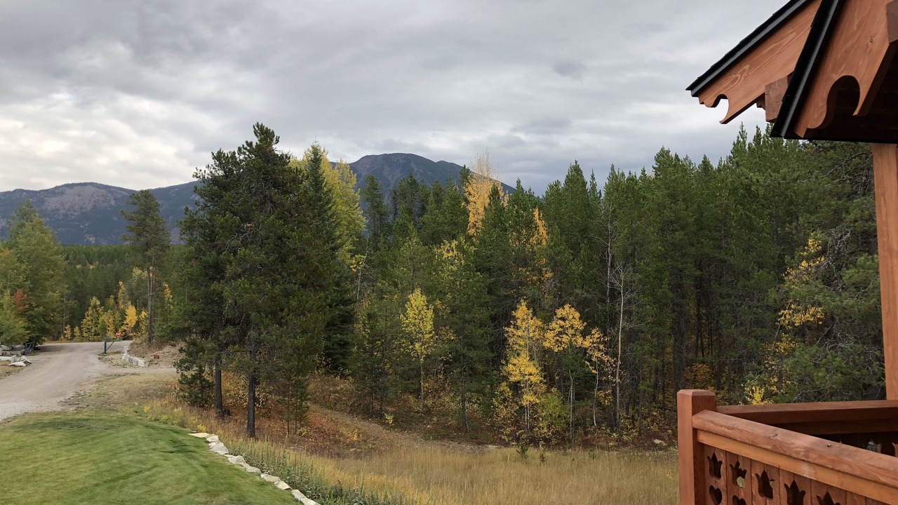 Photo of Others in West Glacier