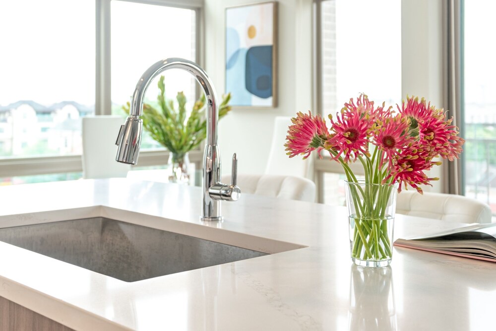 Photo of Kitchen in Montrose