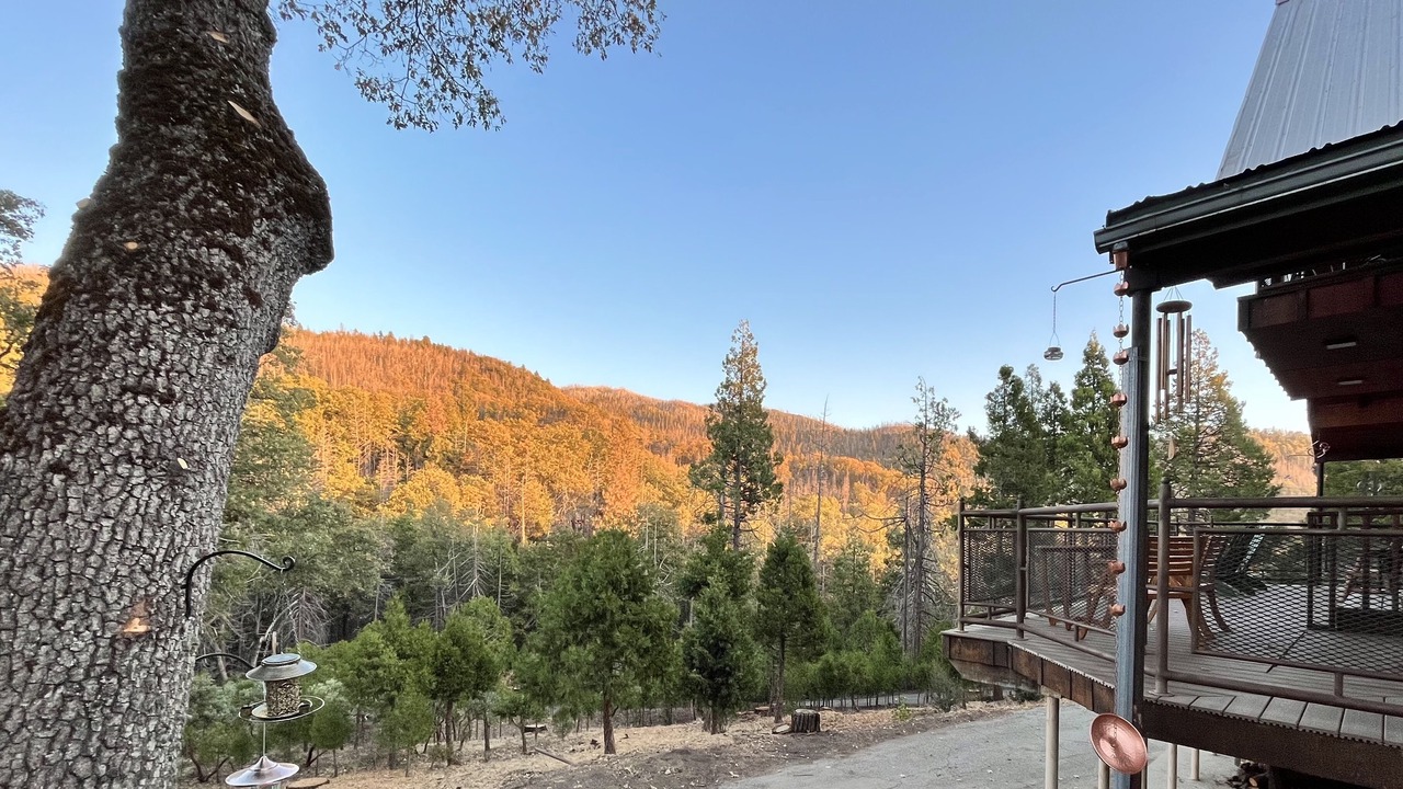 Photo of Outdoor in Posey