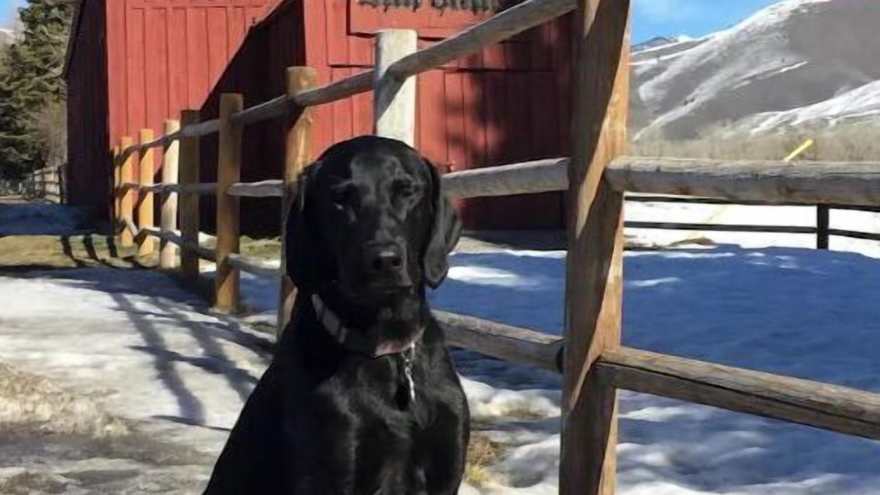 Photo of Outdoor in Elkhorn Village