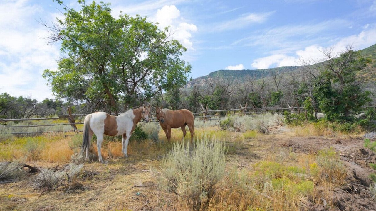 Photo of Outdoor in Mount Pleasant