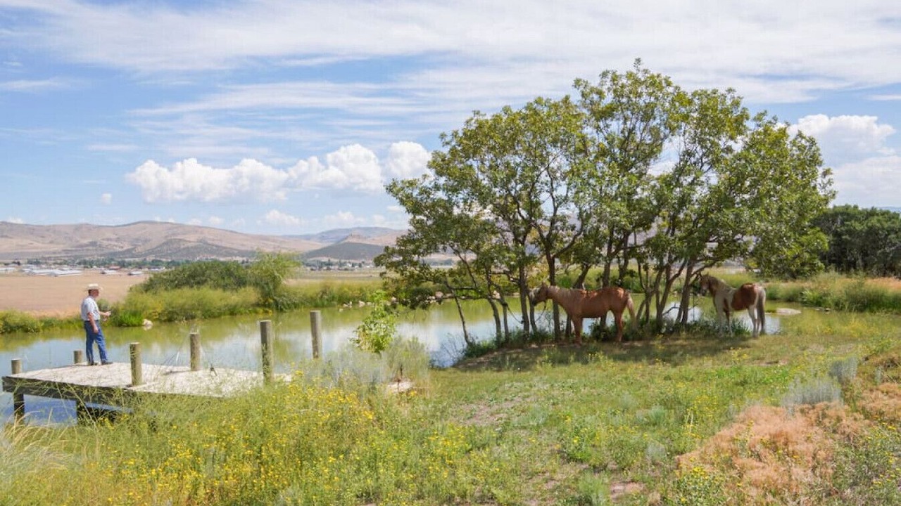 Photo of Outdoor in Mount Pleasant