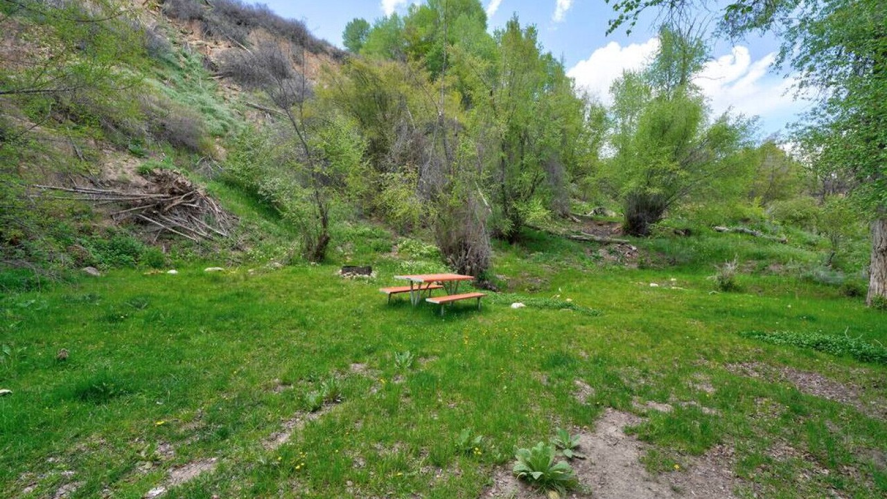 Photo of Outdoor in Mount Pleasant