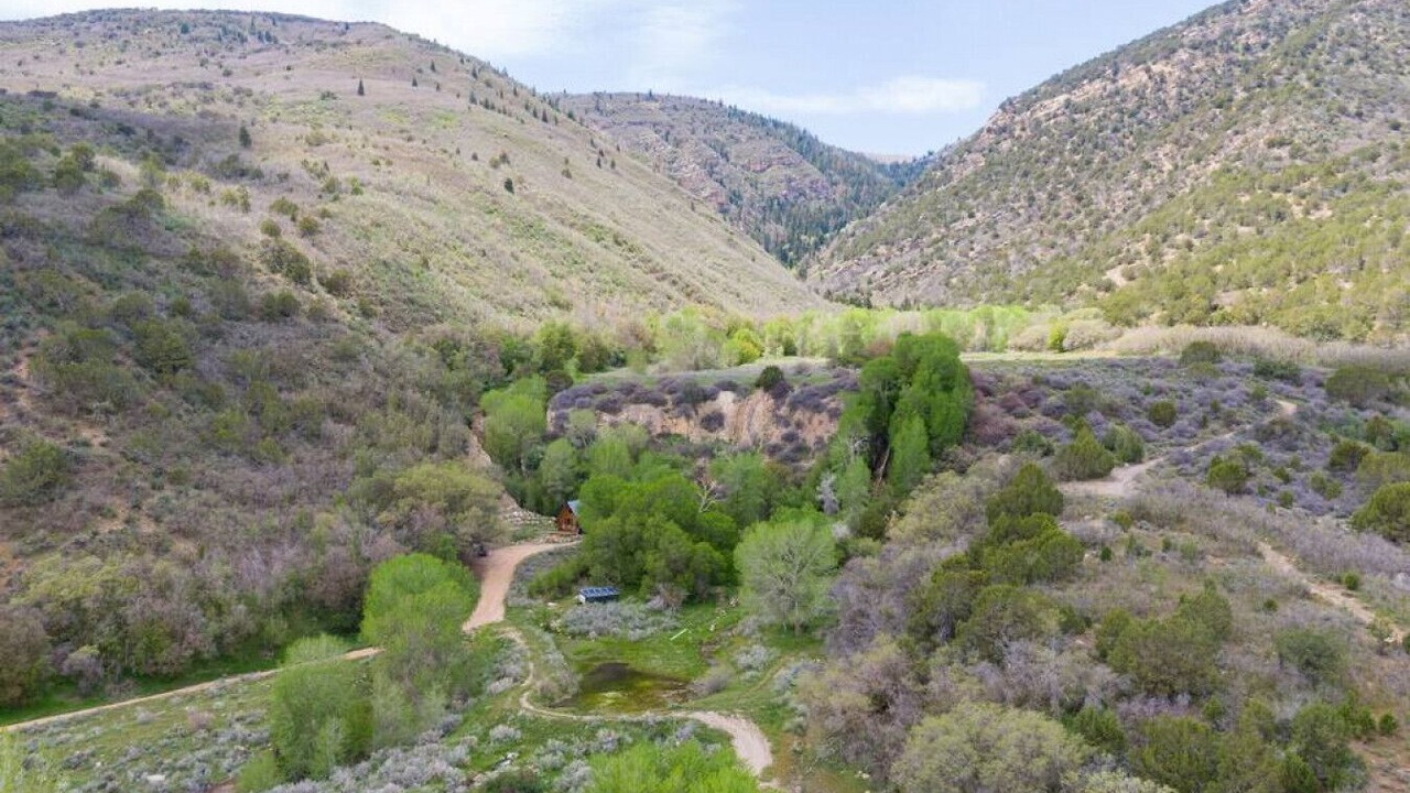 Photo of Outdoor in Mount Pleasant