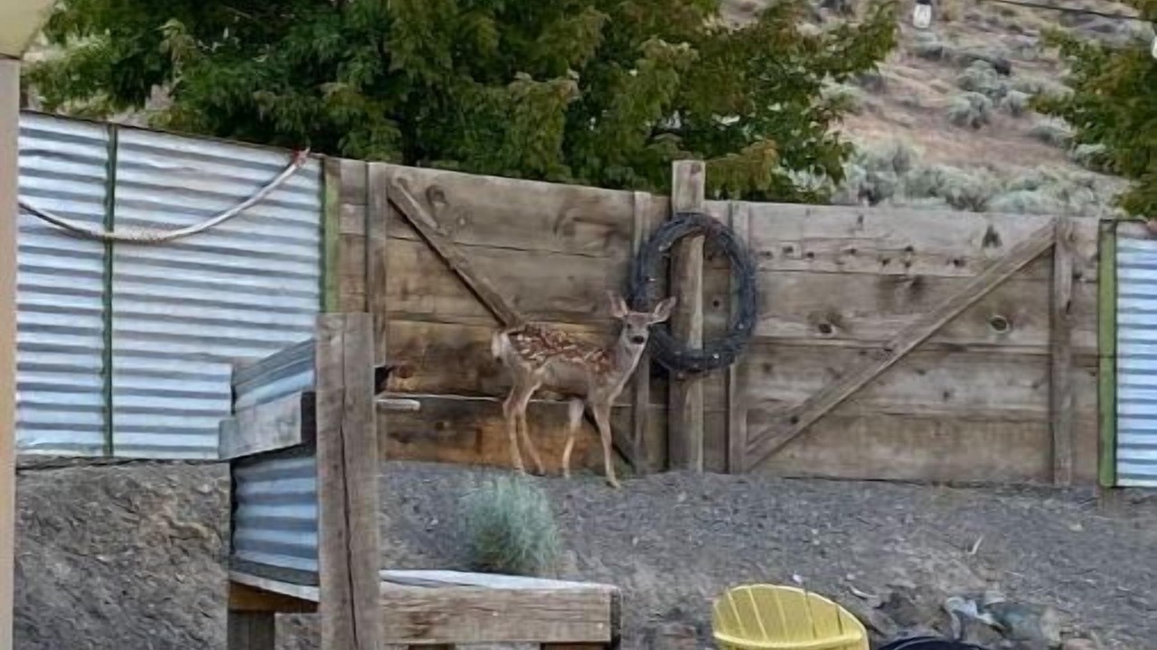 Photo of Outdoor in Huntington